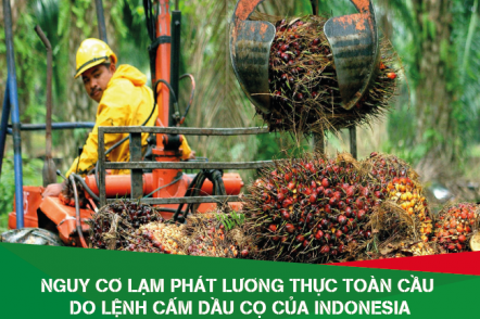 Lệnh cấm dầu cọ của Indonesia đe dọa lạm phát lương thực toàn cầu